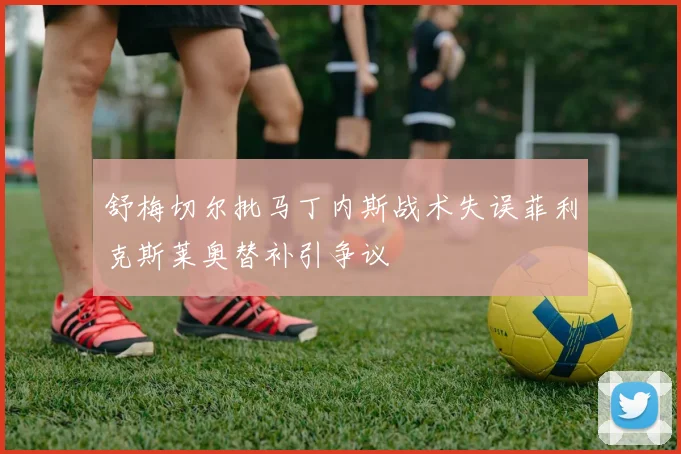 舒梅切尔批马丁内斯战术失误菲利克斯莱奥替补引争议